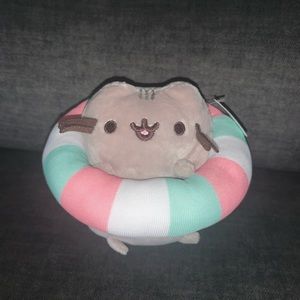 Pusheen in pool float
